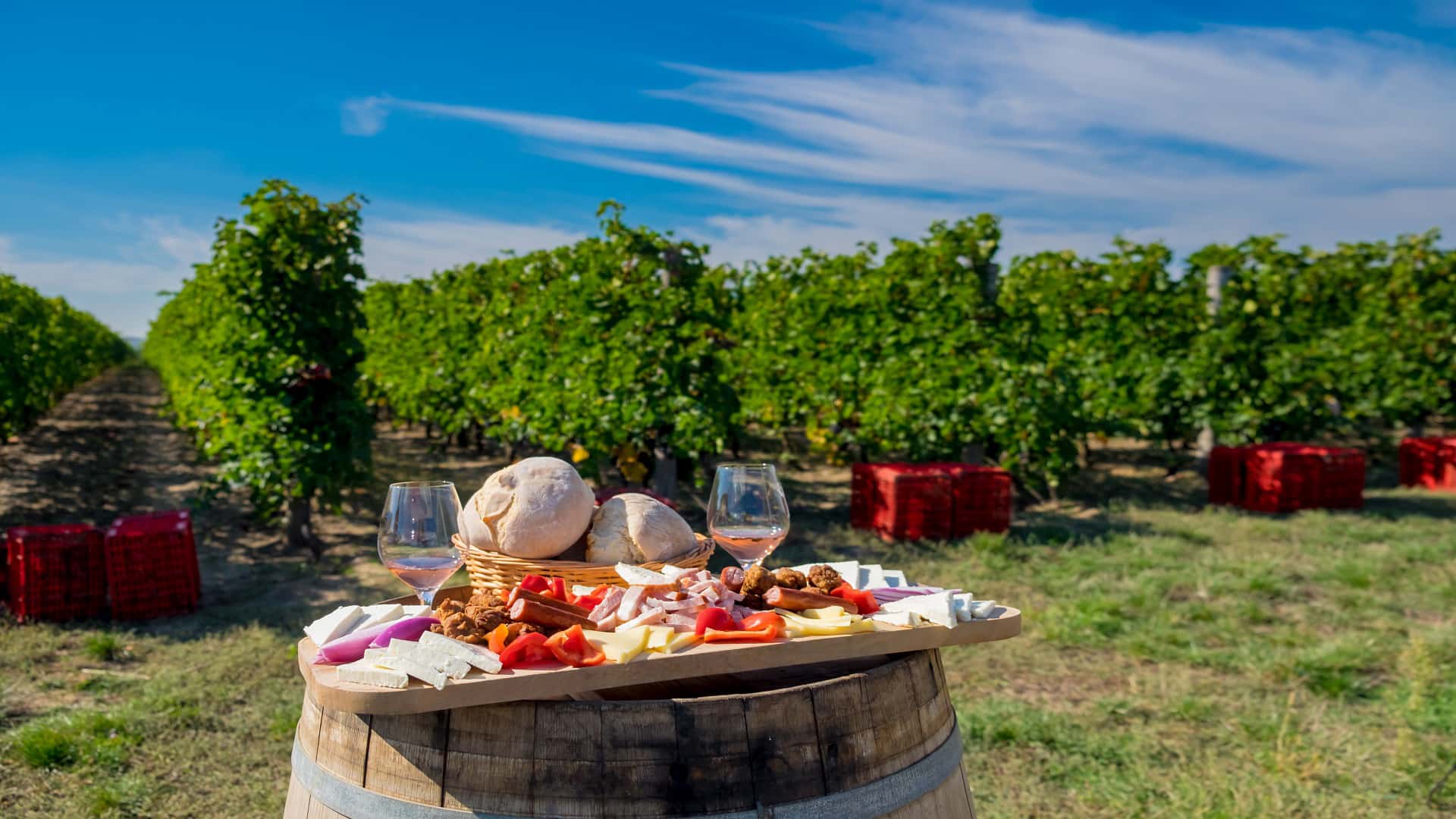 Wine Road Buzau vineyard brunch